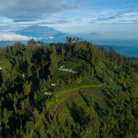 Hotel Plataran Bromo Exterior foto