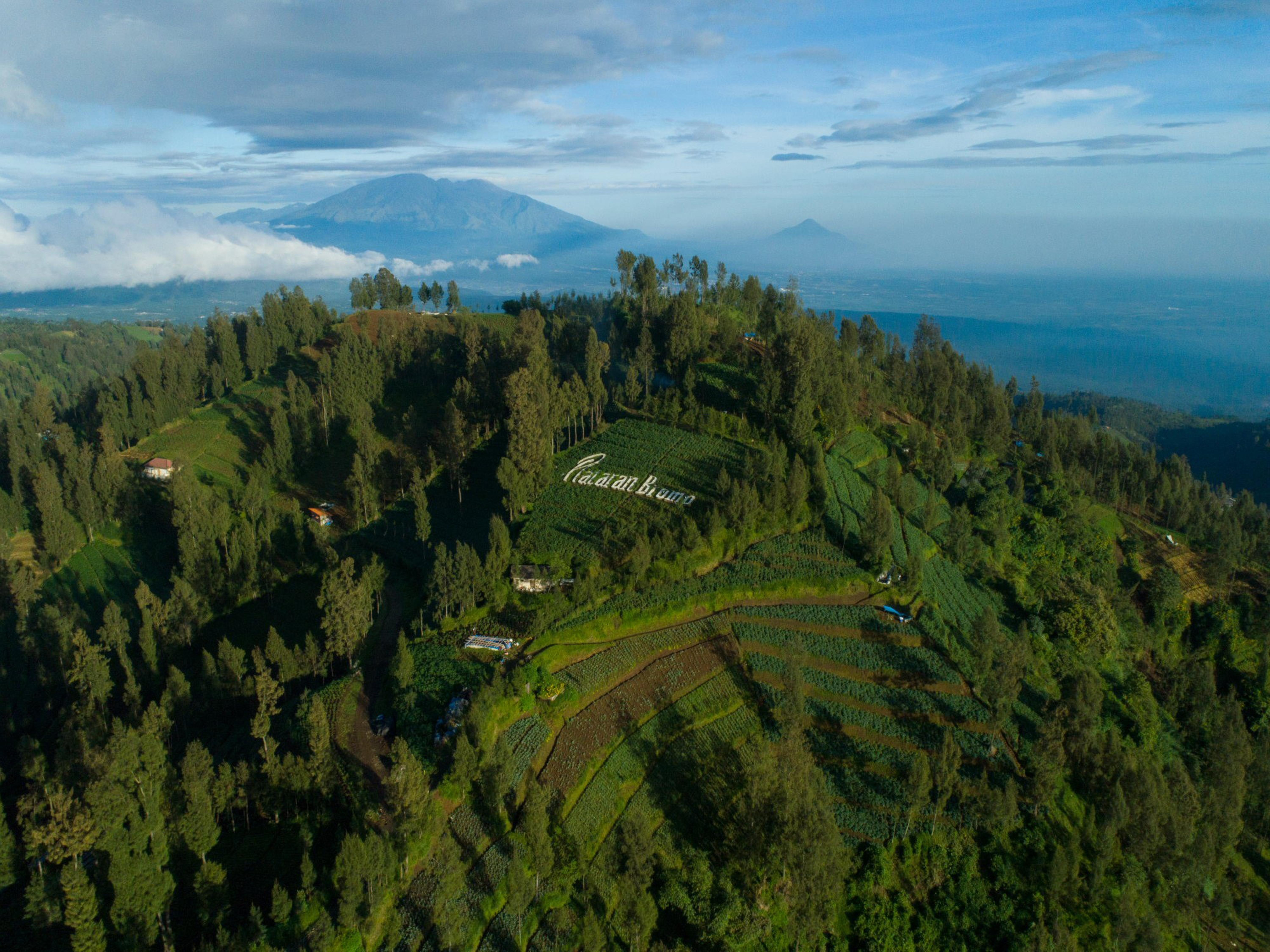Hotel Plataran Bromo Exterior foto