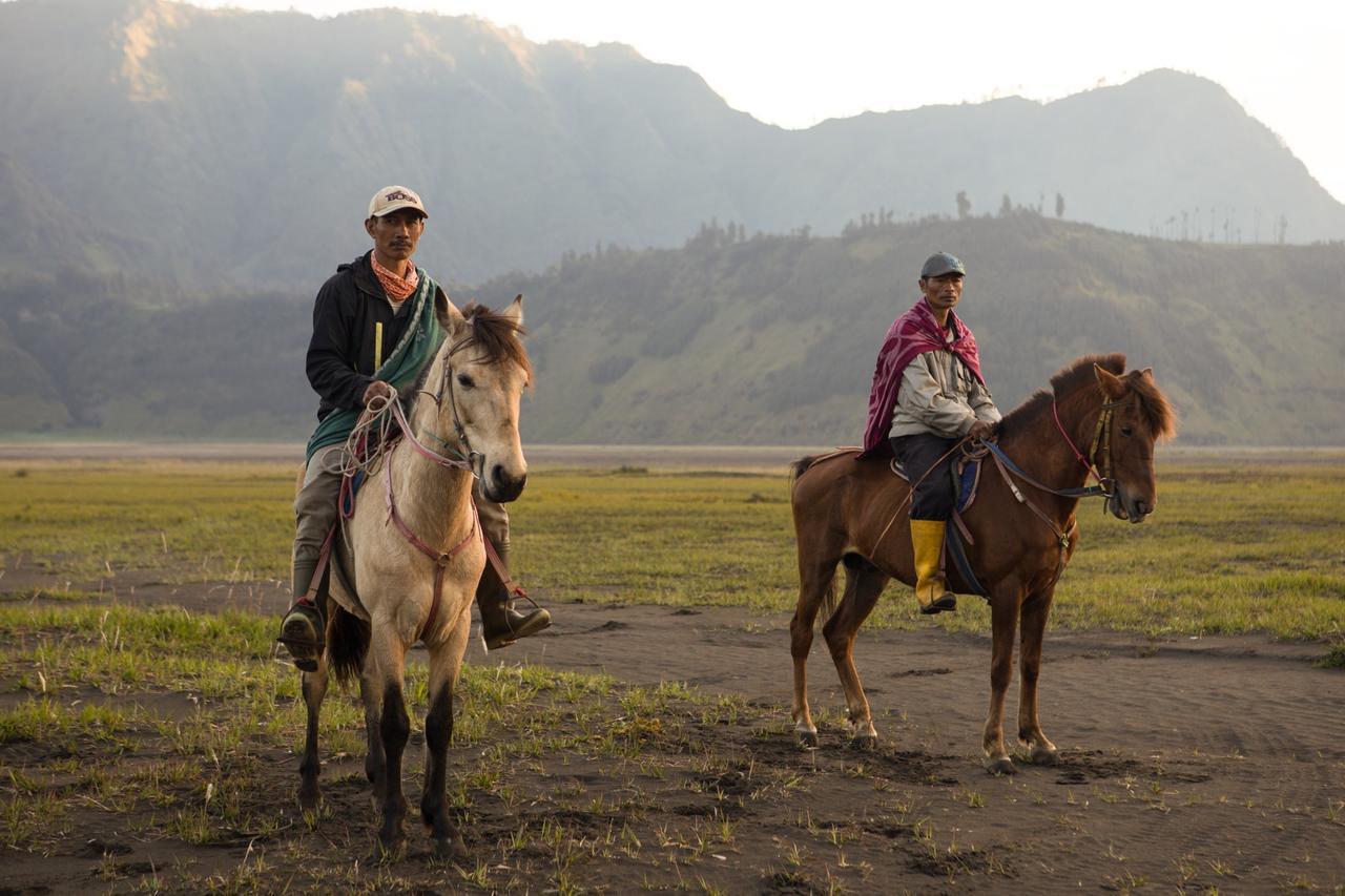 Hotel Plataran Bromo Exterior foto