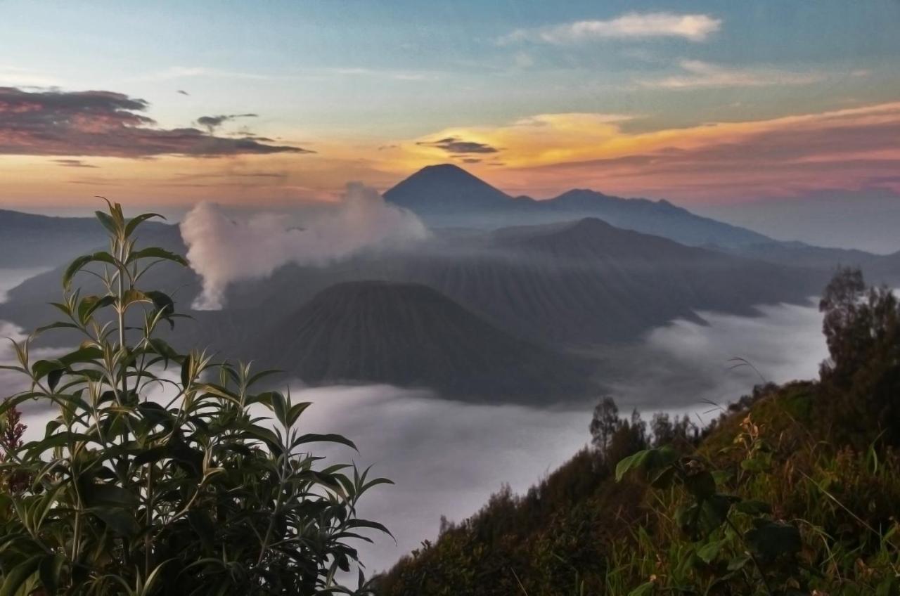 Hotel Plataran Bromo Exterior foto